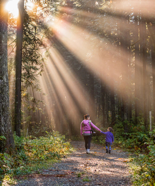parent and child walking through the forest holding hands