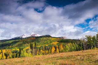 Durango Fall Colors