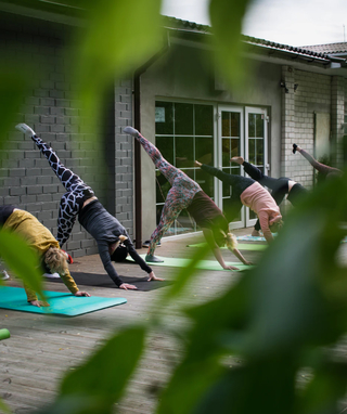 group of people doing yoga