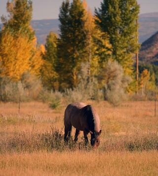 interior of a hotel room
