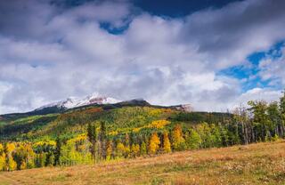 Introduction Background Image Alt Text