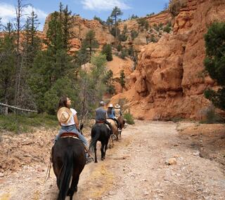 CTA Image 1 Alt Text