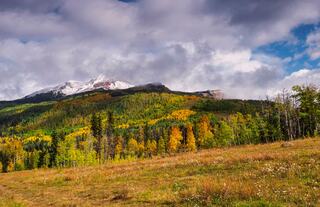 Introduction Background Image Alt Text