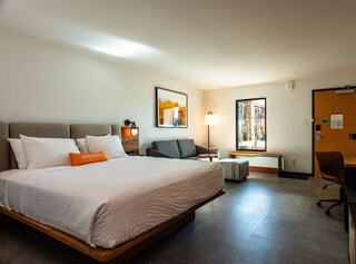 Tout Foreground Image 2 Alt Text