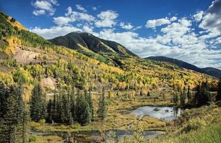 Introduction Background Image Alt Text