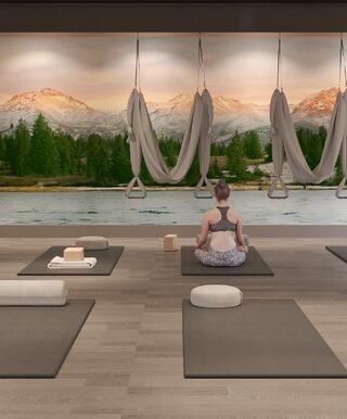 Tout Image 2 Alt Text