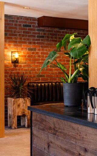 Cluster Image 1 Alt Text