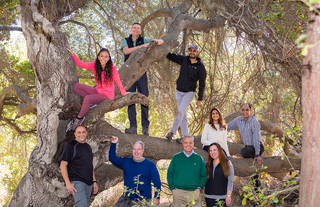 Group of people hanging out in a tree
