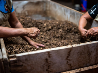 person's hands in a planter box