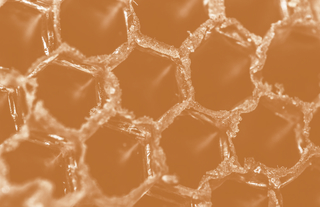 close-up of honeycomb with a tan color filter