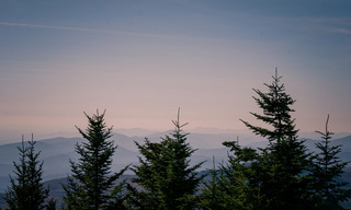 trees in the foreground mountains in the background
